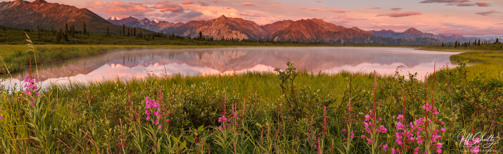 2024 Alaska Explorer Photo Tour/Workshop